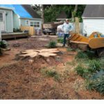 Stump Removal