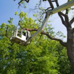 Tree Pruning